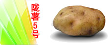 (y)(yu)|(zh)a(chn)ƷV