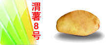 (y)(yu)|(zh)a(chn)ƷV
