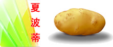 (y)(yu)|(zh)a(chn)ƷV