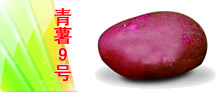 (y)(yu)|(zh)a(chn)ƷV