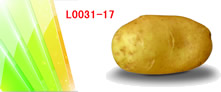 (y)(yu)|(zh)a(chn)ƷV